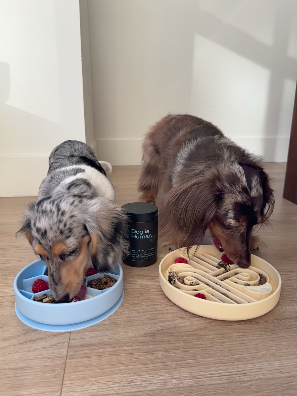 Daily Multivitamin